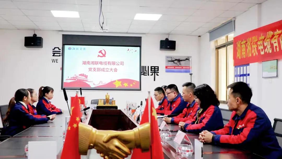 新征程 | 熱烈祝賀湖南湘聯電纜有限公司黨支部正式成立！